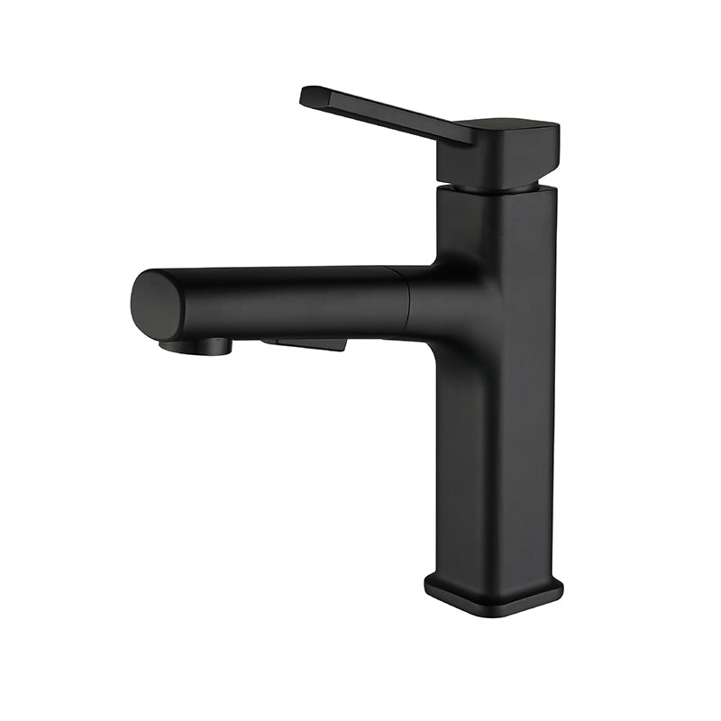 Modern Bathroom Faucet Brass Lever Handles Swivel Spout Bathroom Sink Faucet