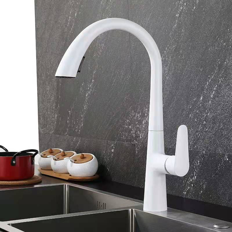 Modern 1-Handle Faucet Pull down Stainless Steel Standard Kitchen Faucet