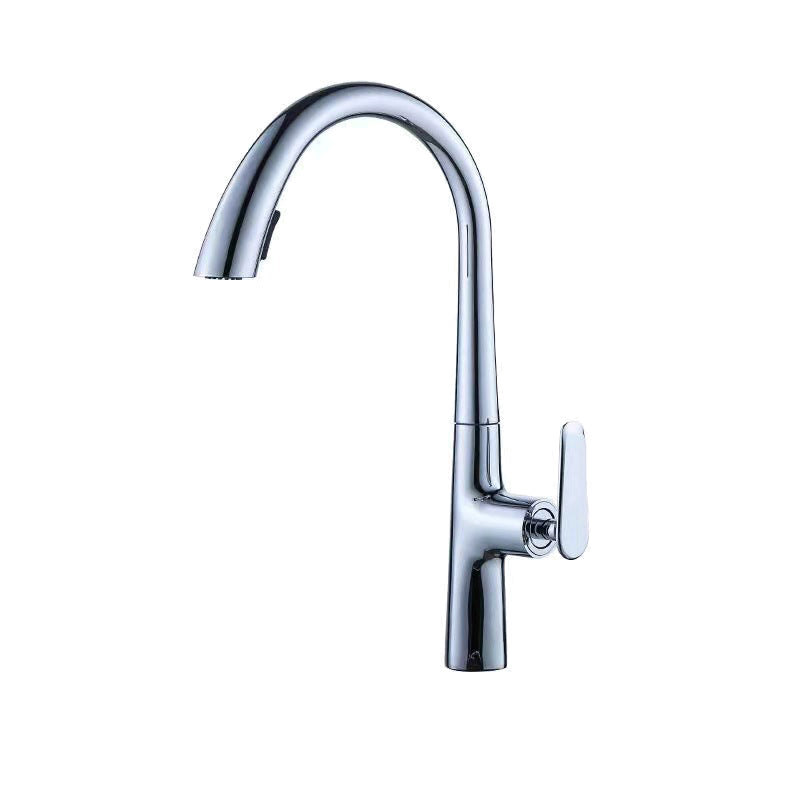 Modern 1-Handle Faucet Pull down Stainless Steel Standard Kitchen Faucet