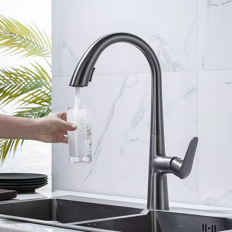 Modern 1-Handle Faucet Pull down Stainless Steel Standard Kitchen Faucet