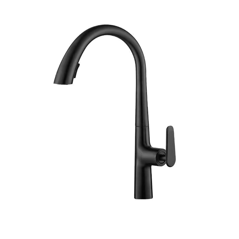 Modern 1-Handle Faucet Pull down Stainless Steel Standard Kitchen Faucet