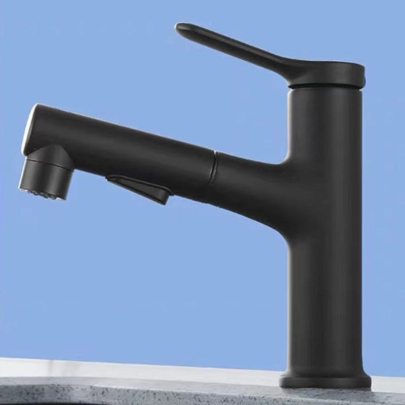 Contemporary Style Faucet Single Lever Handle Faucet with Swivel Spout