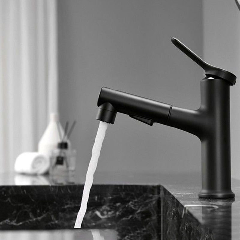 Contemporary Style Faucet Single Lever Handle Faucet with Swivel Spout