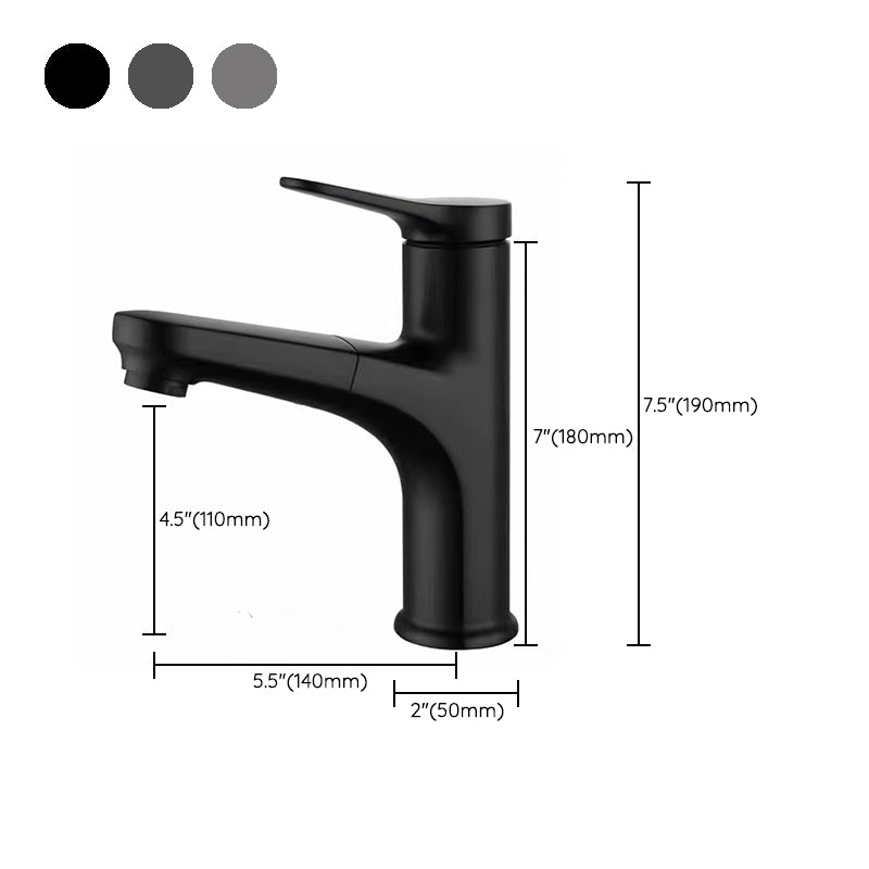 Contemporary Style Faucet Single Lever Handle Faucet with Swivel Spout