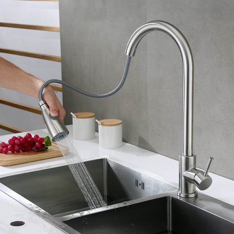 Modern Faucets 1-Handle Pull down with Water Dispenser Standard Kitchen Faucets