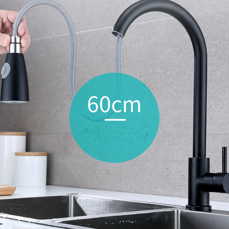 Modern Faucets 1-Handle Pull down with Water Dispenser Standard Kitchen Faucets