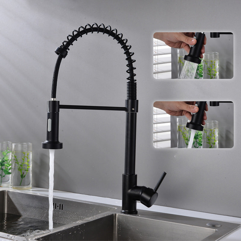 Modern Spring Spout Faucets 1-Handle with Water Dispenser Standard Kitchen Faucets