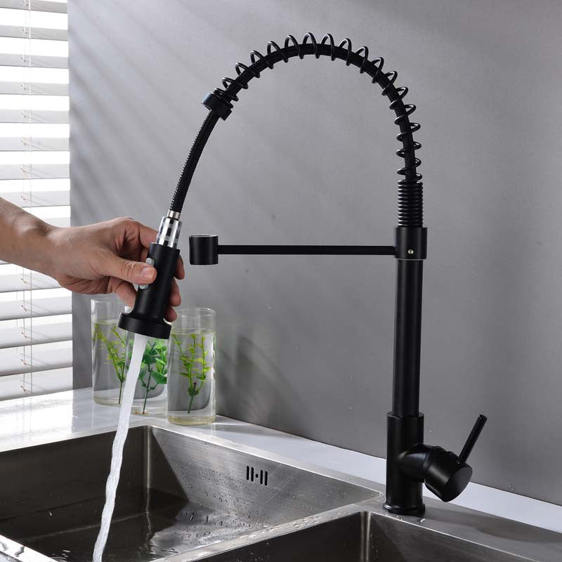 Modern Spring Spout Faucets 1-Handle with Water Dispenser Standard Kitchen Faucets