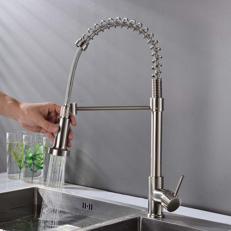 Modern Spring Spout Faucets 1-Handle with Water Dispenser Standard Kitchen Faucets