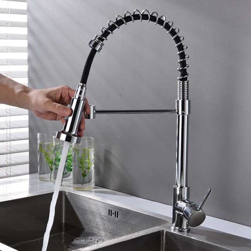 Modern Spring Spout Faucets 1-Handle with Water Dispenser Standard Kitchen Faucets