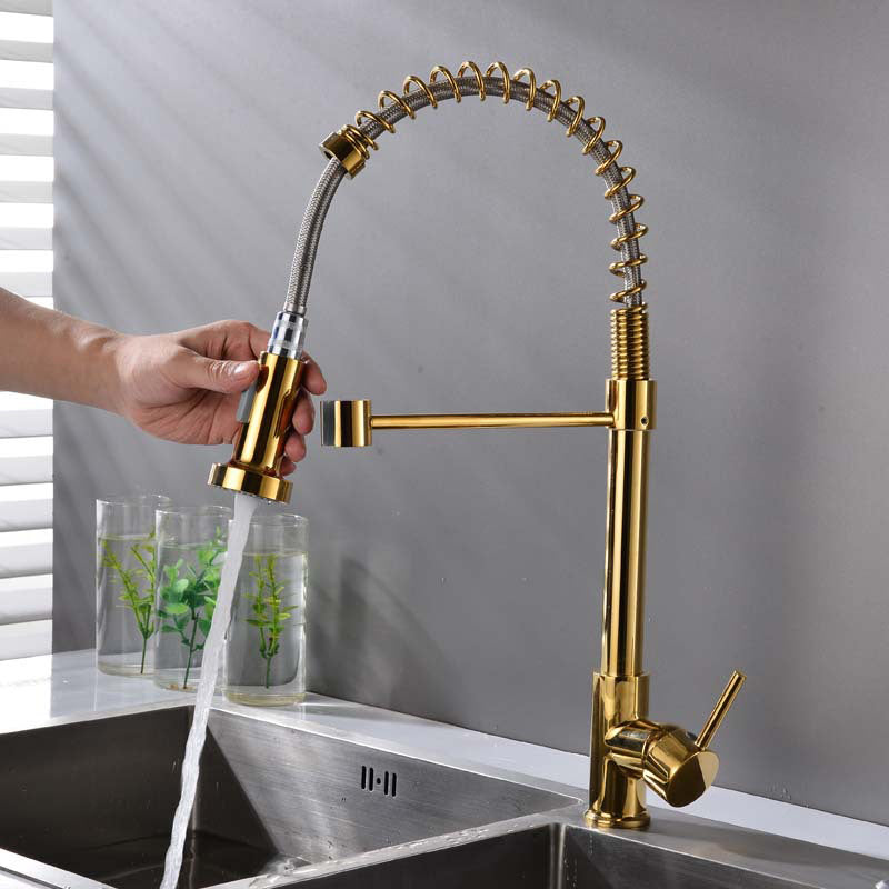 Modern Spring Spout Faucets 1-Handle with Water Dispenser Standard Kitchen Faucets