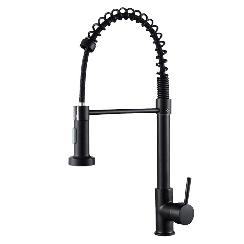 Modern Spring Spout Faucets 1-Handle with Water Dispenser Standard Kitchen Faucets