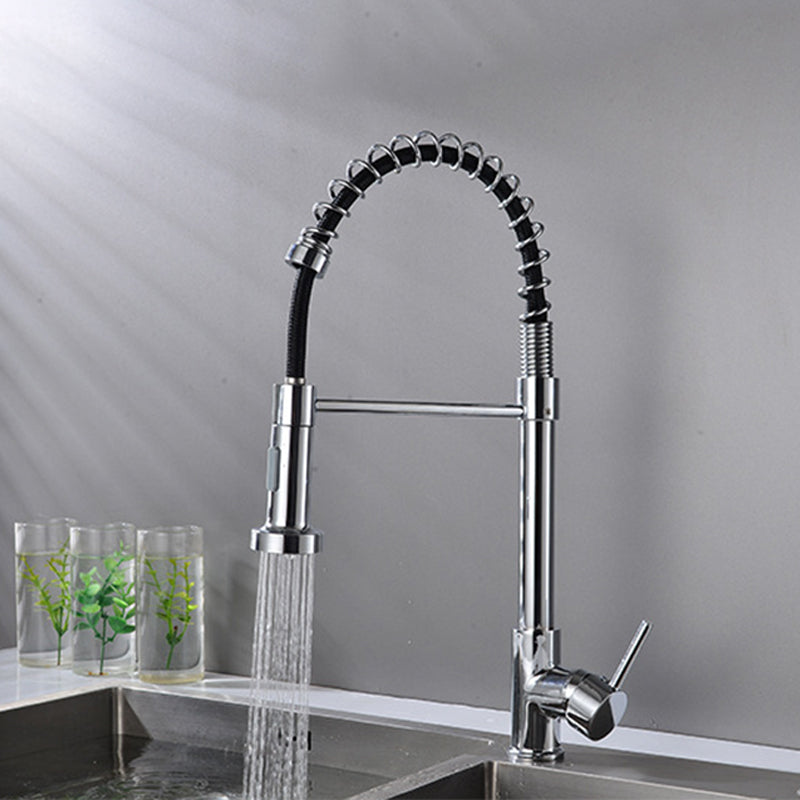 Modern Spring Spout Faucets 1-Handle with Water Dispenser Standard Kitchen Faucets