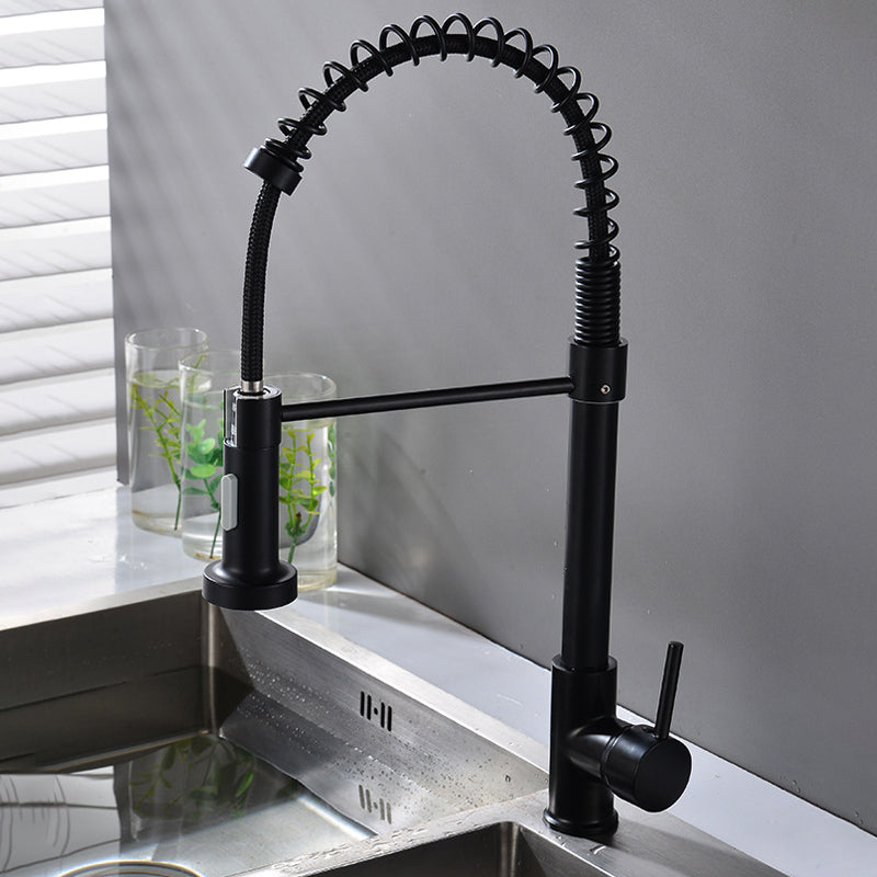 Modern Spring Spout Faucets 1-Handle with Water Dispenser Standard Kitchen Faucets