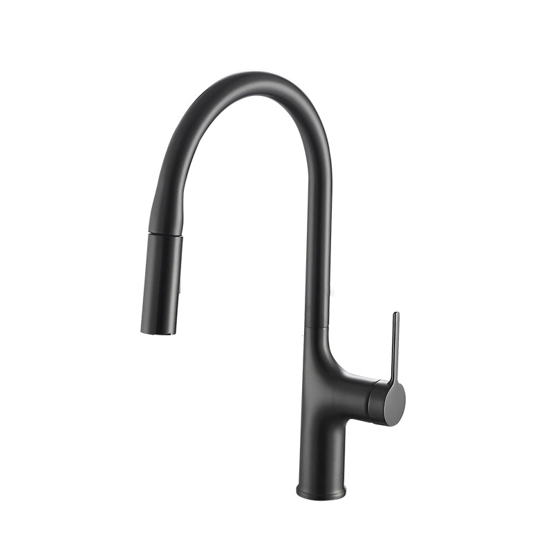 Contemporary Pull Down Single Handle Kitchen Faucet High Arch Water Filler