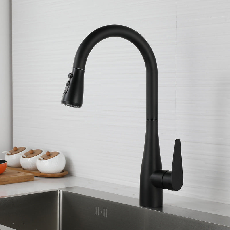 Modern 1-Handle Kitchen Faucet Stainless Steel Standard Kitchen Faucet