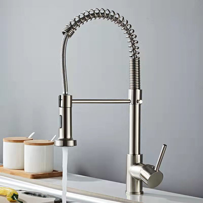 1-Handle Faucets with Water Dispenser Spring Spout Standard Kitchen Faucets