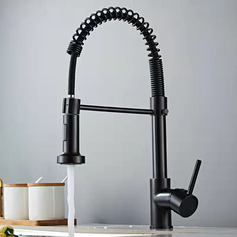 1-Handle Faucets with Water Dispenser Spring Spout Standard Kitchen Faucets