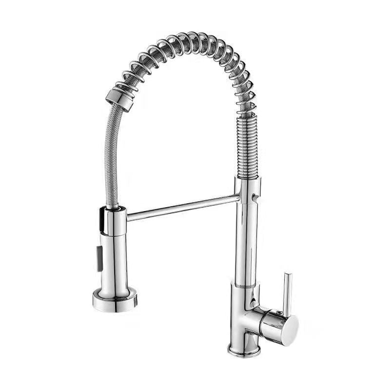 1-Handle Faucets with Water Dispenser Spring Spout Standard Kitchen Faucets