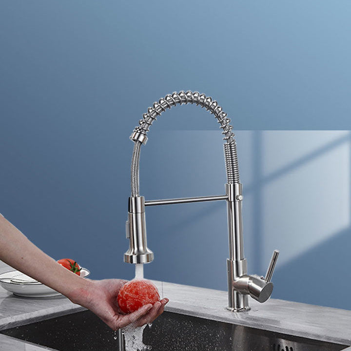 1-Handle Faucets with Water Dispenser Spring Spout Standard Kitchen Faucets