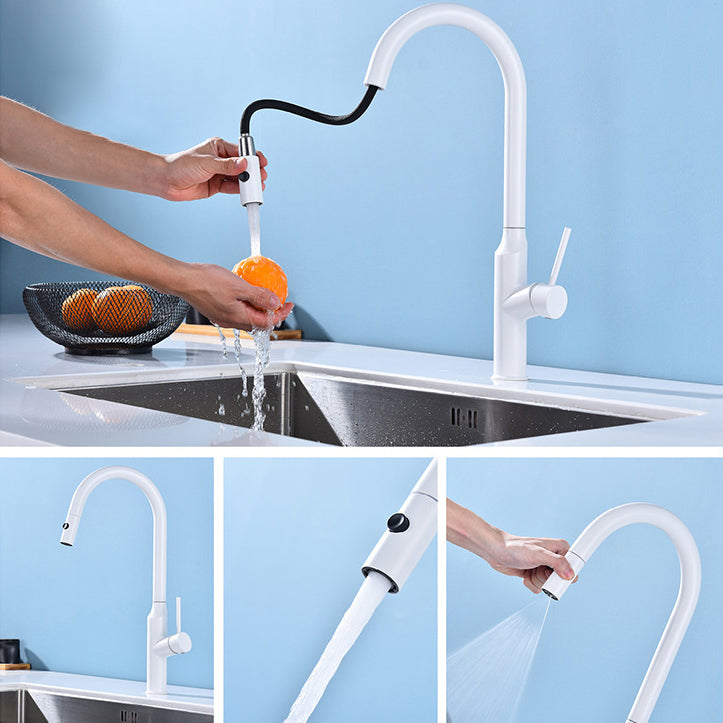 Modern Kitchen Faucet Stainless Steel 1-Handle High Arc Retractable Kitchen Faucet