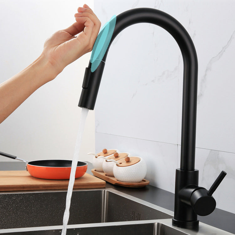 Modern Farmhouse Pull Down Water Filler One Handle High Arch Kitchen Faucet