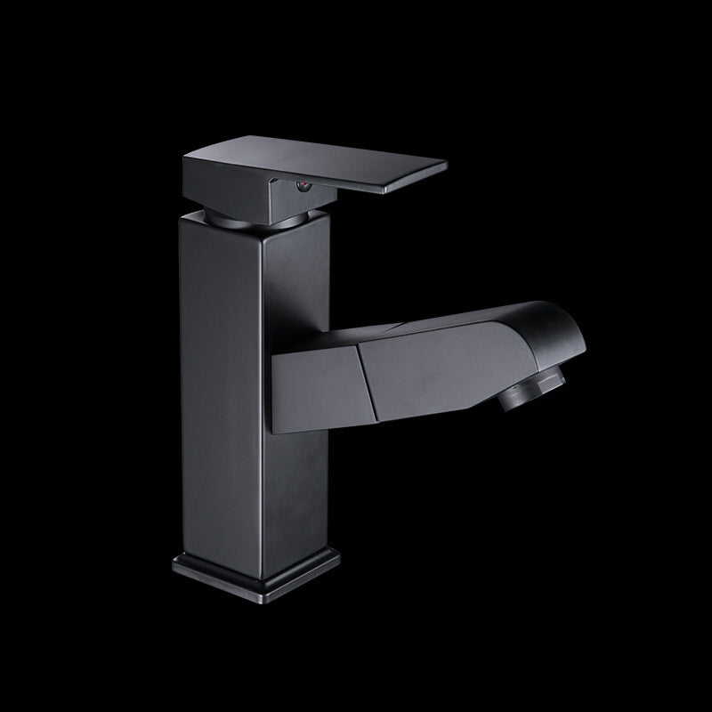 Contemporary Style Faucets Single Lever Handle Swivel Spout Faucets