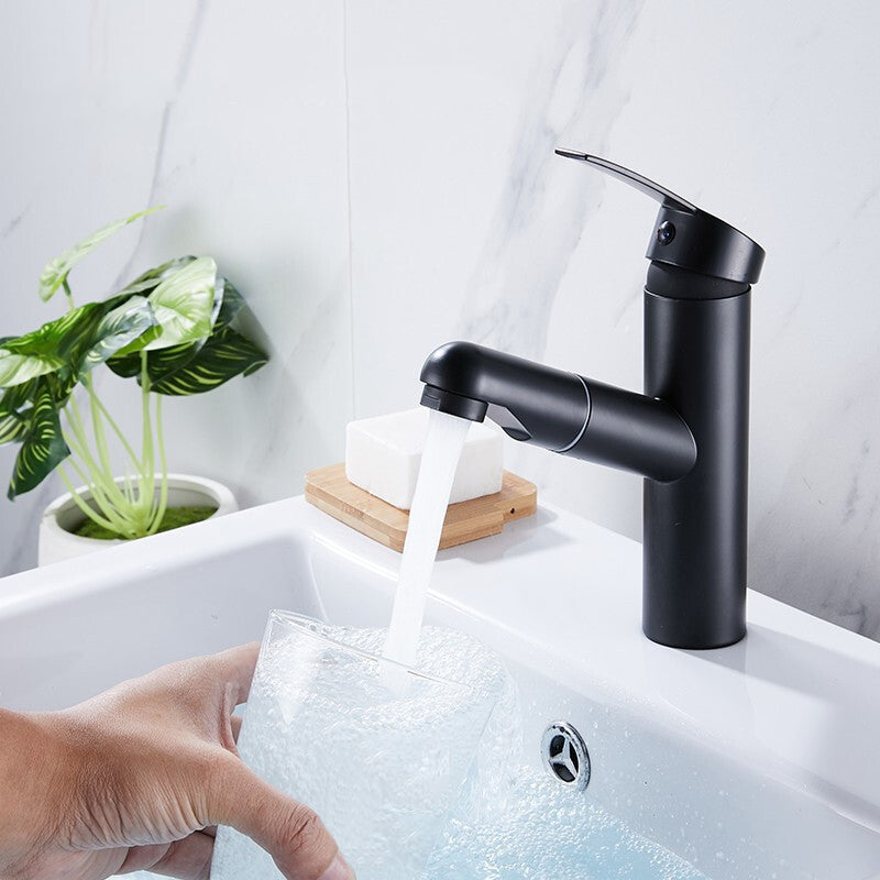 Contemporary Style Faucets Single Lever Handle Swivel Spout Faucets