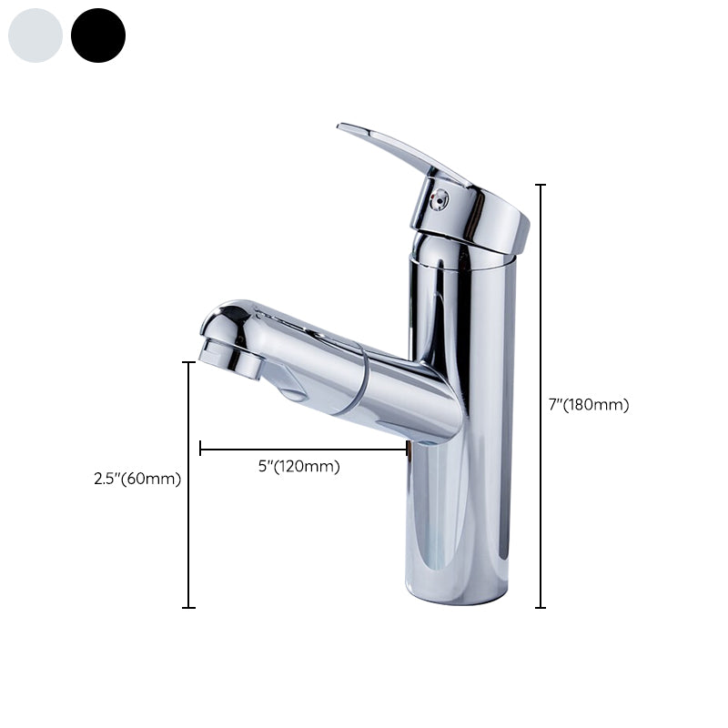 Contemporary Style Faucets Single Lever Handle Swivel Spout Faucets