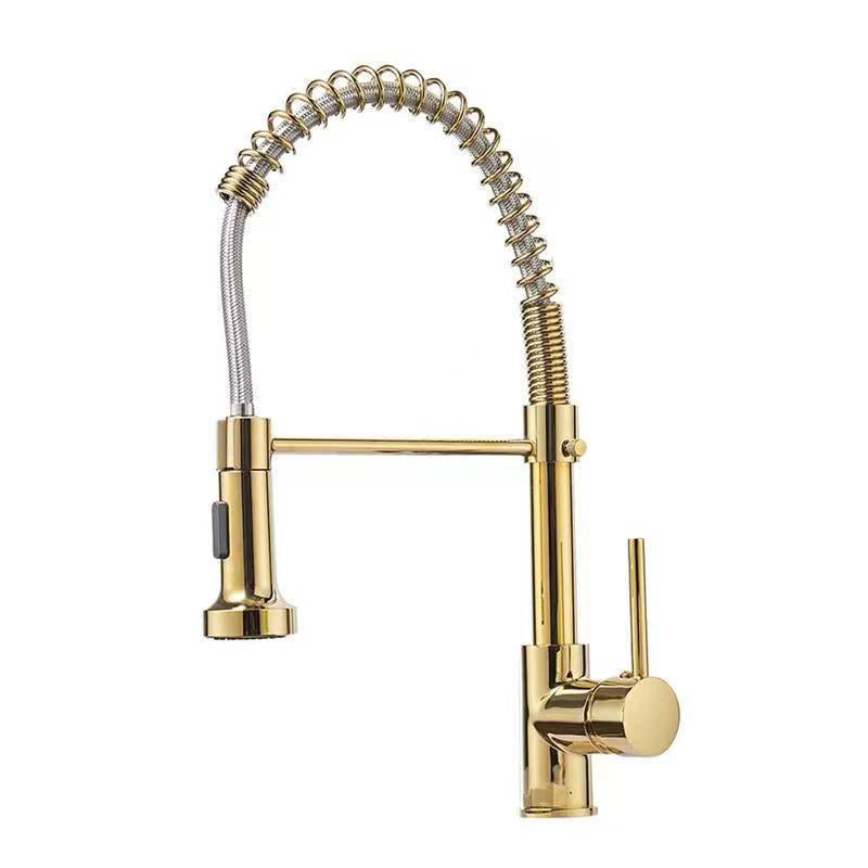 Modern 1-Handle Faucet Spring Spout with Water Dispenser Standard Kitchen Faucet