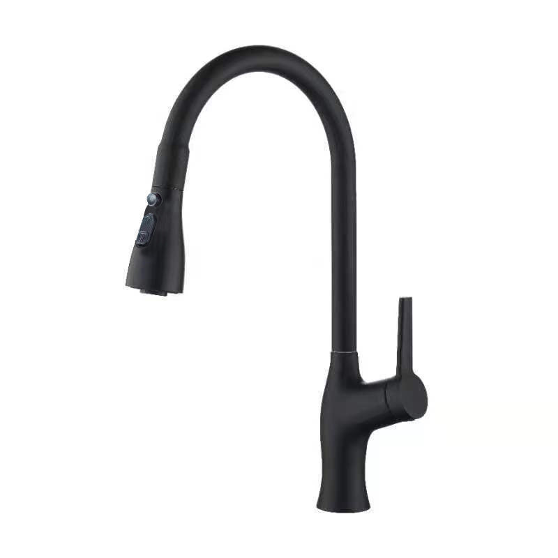 1-Hole 1-Handle Faucet Pull out Sprayer Standard Kitchen Faucet