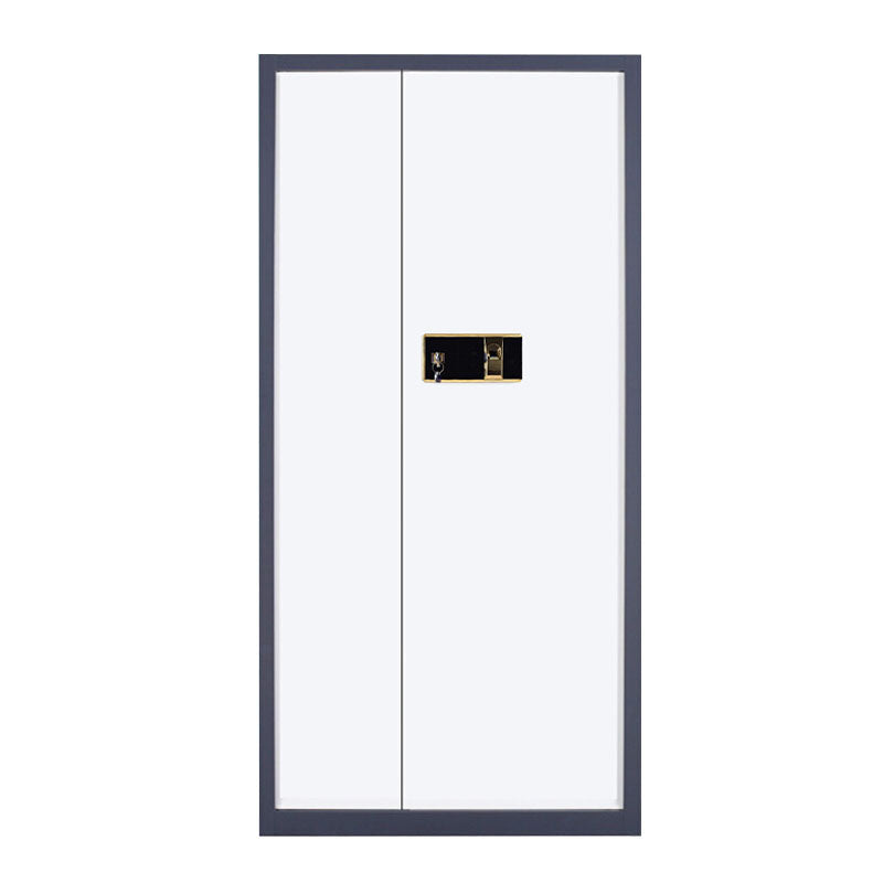 Contemporary Filing Cabinets Steel Frame Lock Vertical File Cabinets for Office