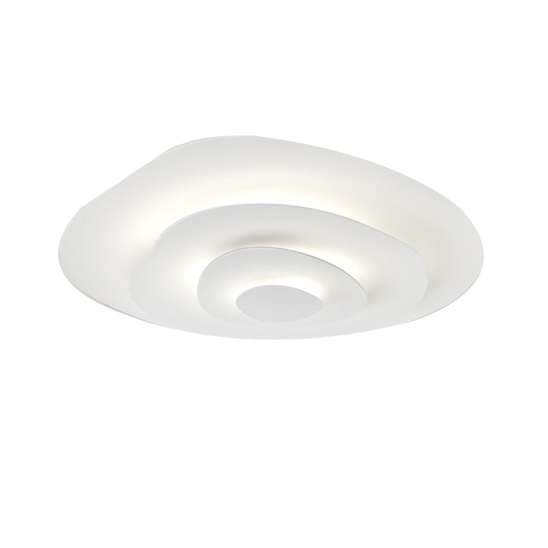 Contemporary LED Ceiling Lamp Metal Flush Mount Light Fixture