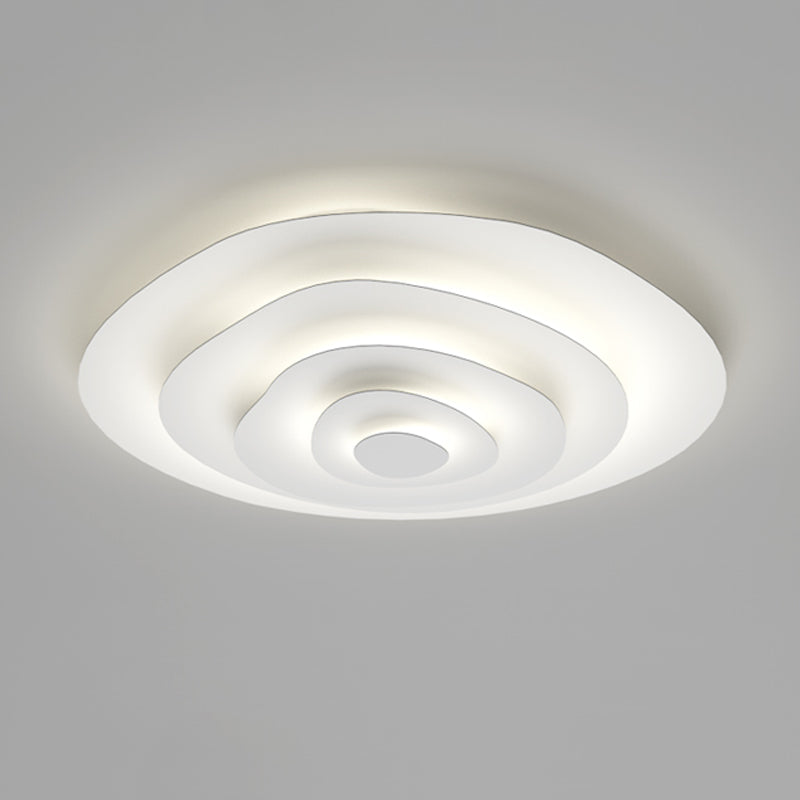 Contemporary LED Ceiling Lamp Metal Flush Mount Light Fixture