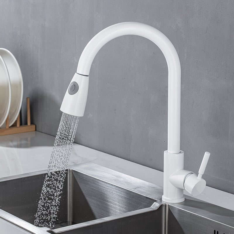 1-Handle Kitchen Faucet Pull down Sprayer with Supply Lines Bar Faucet