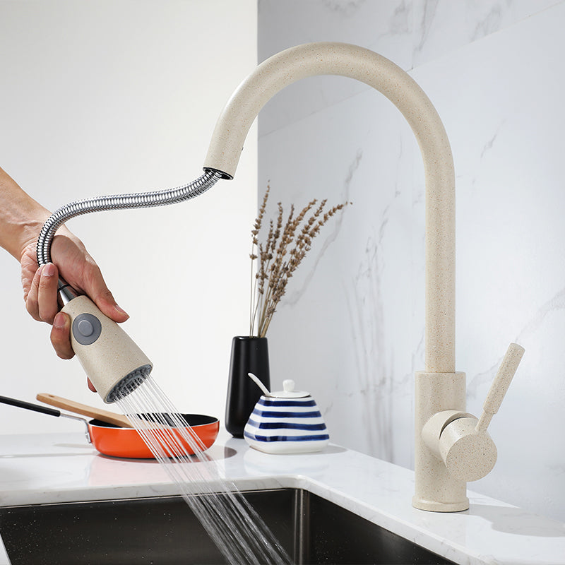 1-Handle Kitchen Faucet Pull down Sprayer with Supply Lines Bar Faucet