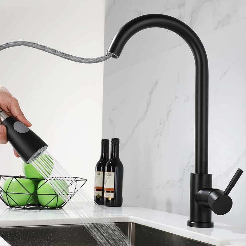 1-Handle Kitchen Faucet Pull down Sprayer with Supply Lines Bar Faucet