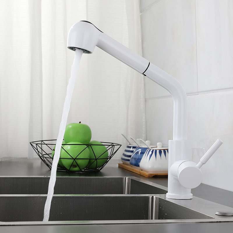 1-Handle Kitchen Faucet Pull down Sprayer with Supply Lines Bar Faucet