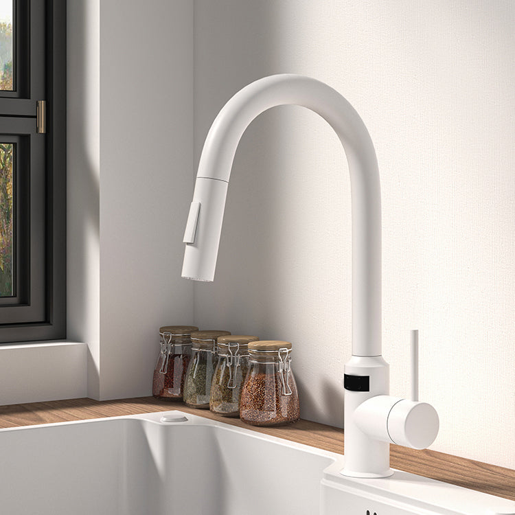 Modern Standard Bar Faucet 1-Handle with Pull down Sprayer Kitchen Faucet