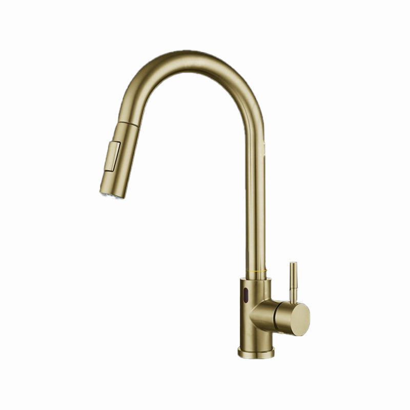 Pull Down Sprayer Bar Kitchen 1-Hole Kitchen Faucet with Supply Lines