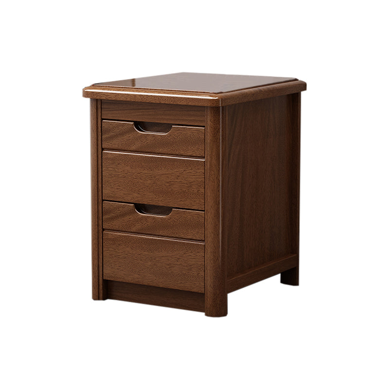 Walnut Bed Nightstand Contemporary Bedside Cabinet with Drawers