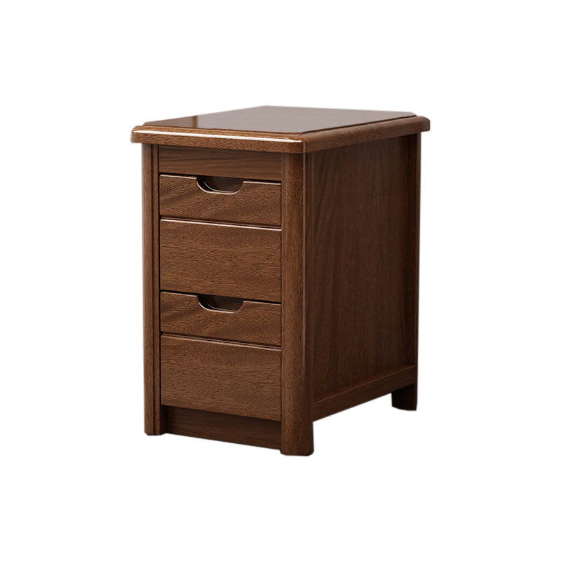 Walnut Bed Nightstand Contemporary Bedside Cabinet with Drawers