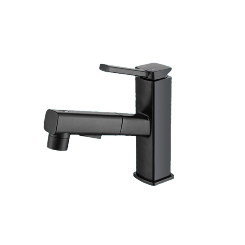 Lever Handle Faucet Pull-out Vessel Sink Faucet with Swivel Spout