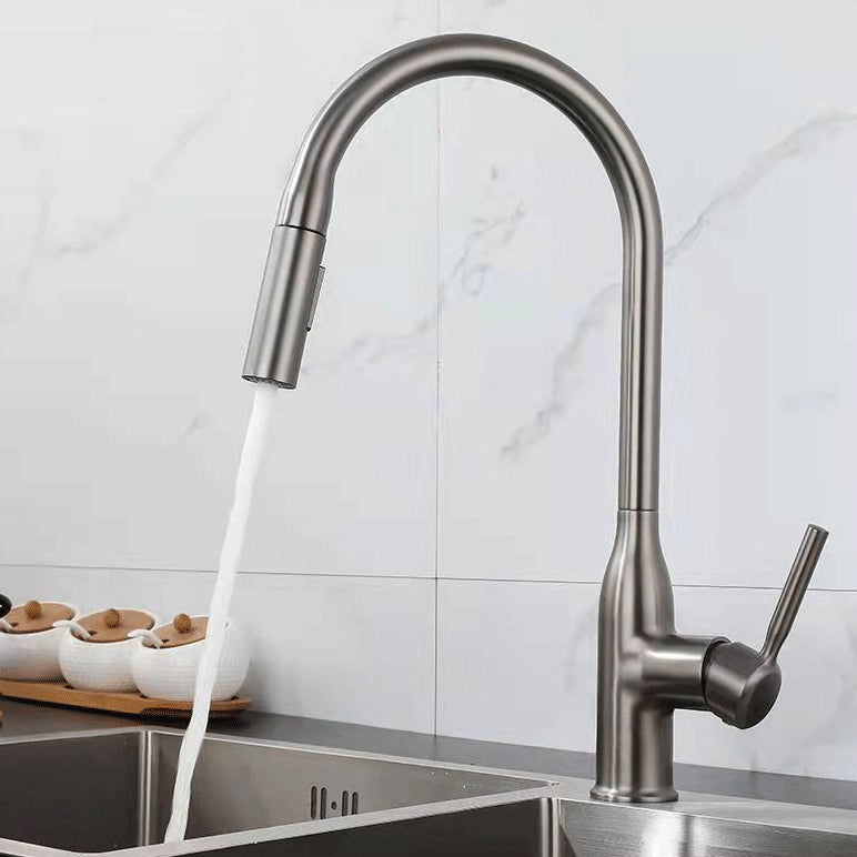 Modern 1-Handle Faucet Pull out Sprayer Standard Kitchen Faucet