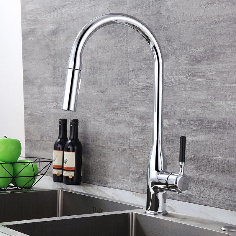 Modern 1-Handle Faucet Pull out Sprayer Standard Kitchen Faucet