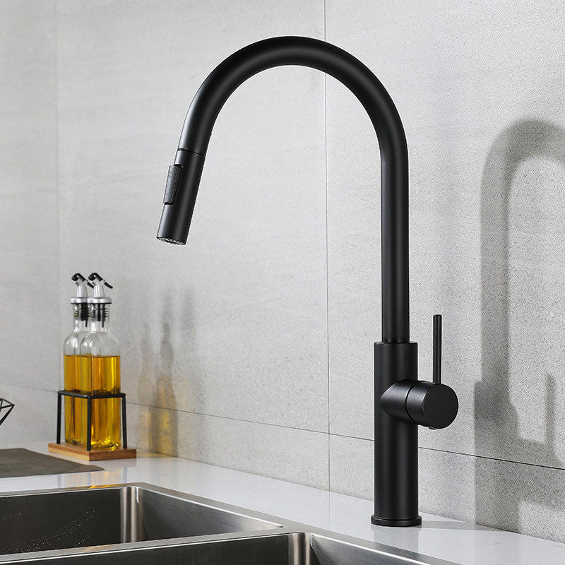 Modern 1-Handle Faucet Pull out Sprayer Standard Kitchen Faucet