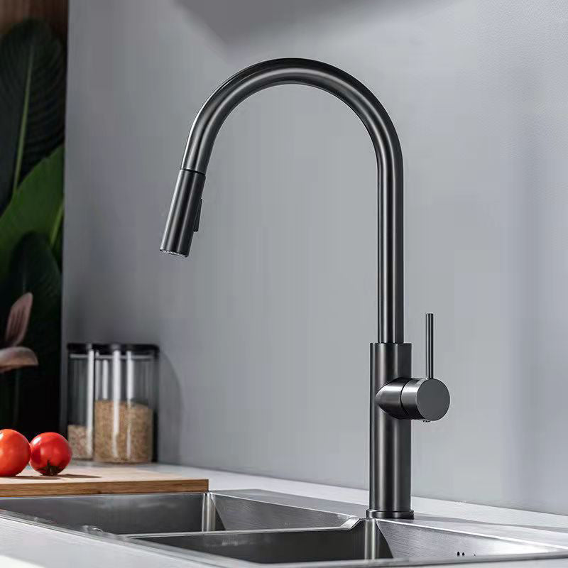 Modern 1-Handle Faucet Pull out Sprayer Standard Kitchen Faucet