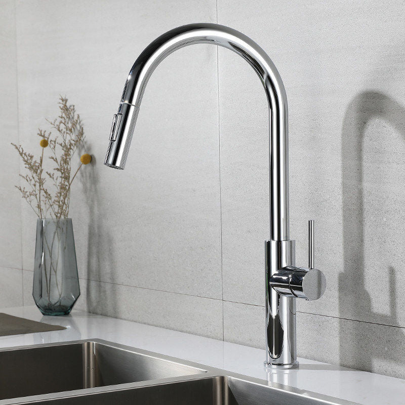 Modern 1-Handle Faucet Pull out Sprayer Standard Kitchen Faucet