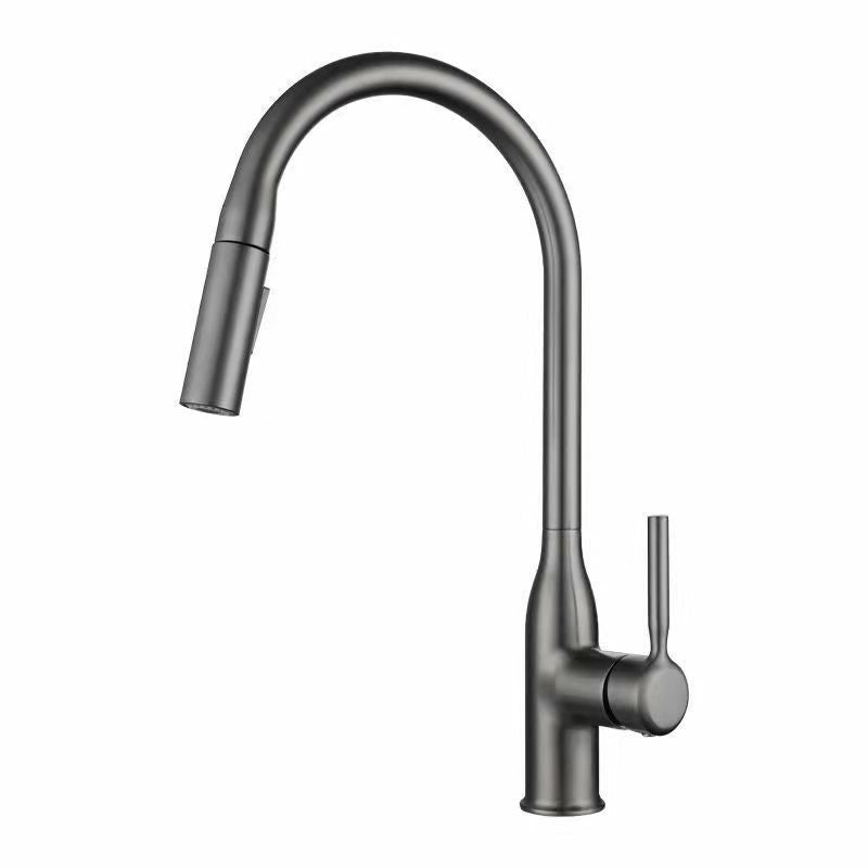 Modern 1-Handle Faucet Pull out Sprayer Standard Kitchen Faucet