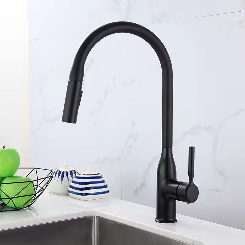 Modern 1-Handle Faucet Pull out Sprayer Standard Kitchen Faucet